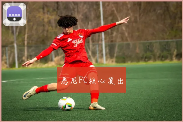 悉尼FC核心复出