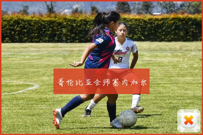 哥伦比亚会师塞内加尔